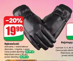 Dino Rękawiczki oferta