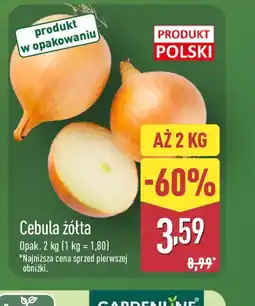 ALDI Cebula żółta oferta