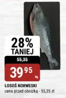 bi1 Łosoś norweski oferta