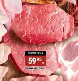 bi1 Ligawa wołowa oferta