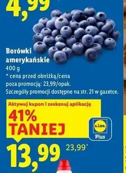 Lidl Borówki amerykańskie oferta