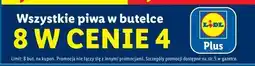 Lidl Piwo oferta