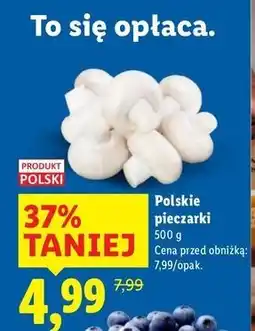Lidl Pieczarki polska oferta