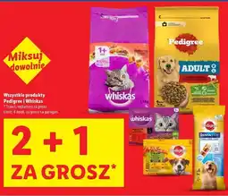 Lidl Karma dla psa wybór smaków w galarecie Pedigree oferta