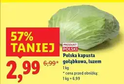 Lidl Kapusta na gołąbki polska oferta