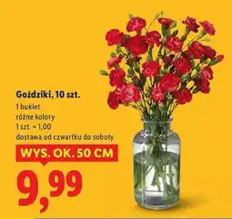 Lidl Goździki bukiet oferta