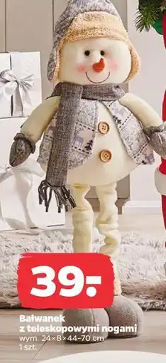 Netto Bałwanek oferta