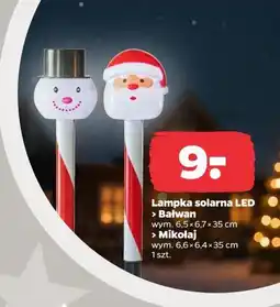 Netto Lampka solarna LED oferta