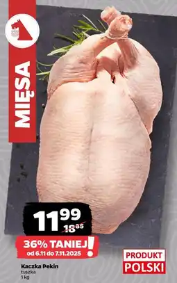 Netto Kaczka Pekin oferta