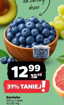 Netto Borówka oferta