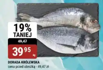 bi1 Dorada królewska oferta