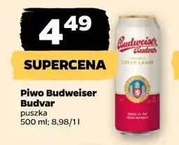 Netto Piwo Budweiser Budvar oferta