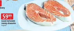 E.Leclerc Łosoś dzwonki Laguna oferta