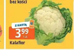 E.Leclerc Kalafior oferta