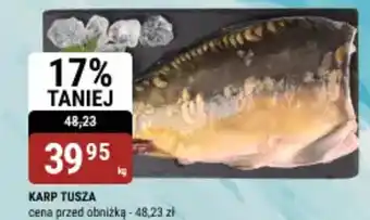 bi1 Karp tusza oferta