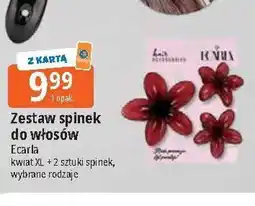 E.Leclerc Zestaw do włosów kwiat xl + 2 spinki Ecarla oferta