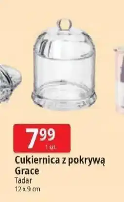 E.Leclerc Cukiernica z pokrywką tadar 12 x 9 cm Tadar oferta