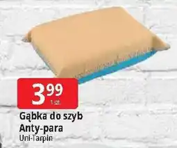 E.Leclerc Gąbka anty-para 12 x 8 4 cm Intertec oferta