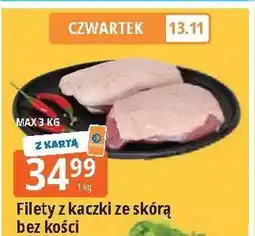 E.Leclerc Filet z kaczki oferta