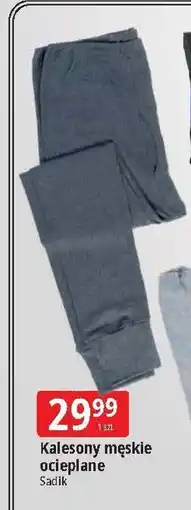 E.Leclerc Kalesony męskie ocieplane oferta