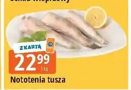 E.Leclerc Nototenia tusza oferta