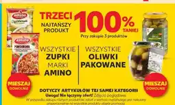Kaufland Zupa ogórkowa z koperkiem Amino oferta