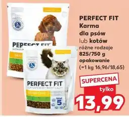 Kaufland Karma dla psa sensitive 1+ oferta