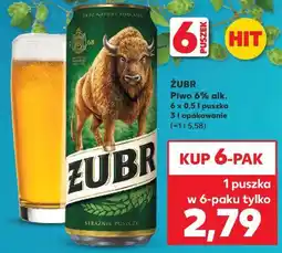 Kaufland Piwo Żubr 1768 oferta