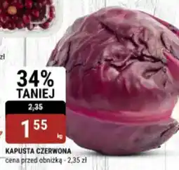 bi1 Kapusta czerwona oferta
