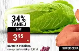 bi1 Kapusta pekińska oferta