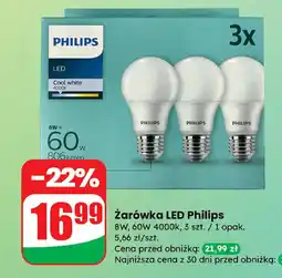 Dino Żarówka LED Philips oferta