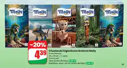 Dino Chusteczki higieniczne Brainrot Molly oferta