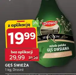 Stokrotka Gęś świeża Drosed oferta