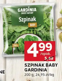 Stokrotka Szpinak baby Gardinia oferta