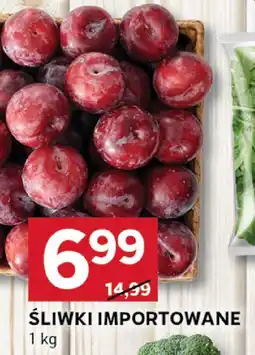 Stokrotka Śliwki importowane Stokrotka oferta