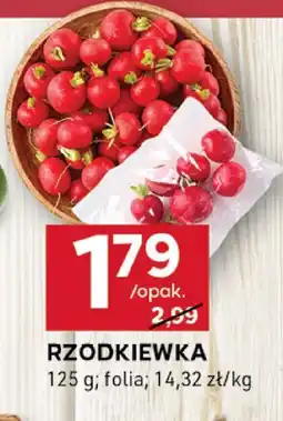 Stokrotka Rzodkiewka Stokrotka oferta
