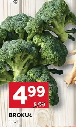 Stokrotka Brokuł Stokrotka oferta