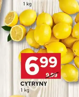 Stokrotka Cytryny Stokrotka oferta