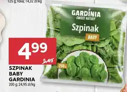 Stokrotka Szpinak Baby Gardinia oferta