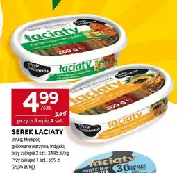 Stokrotka Serek łaciaty indyjski Łaciaty oferta