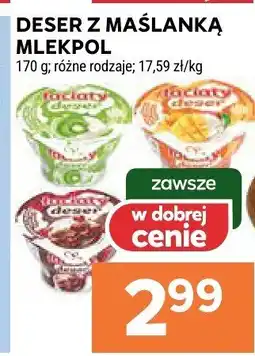 Stokrotka Deser z maślanką Mlekpol różne rodzaje oferta