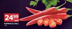 Stokrotka Papryka chili Stokrotka oferta