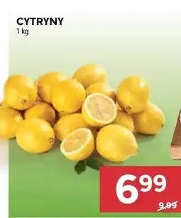 Stokrotka Cytryny Stokrotka oferta