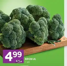 Stokrotka Brokuł Stokrotka oferta