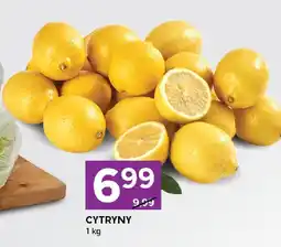 Stokrotka Cytryny Stokrotka oferta