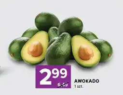 Stokrotka Awokado Stokrotka oferta
