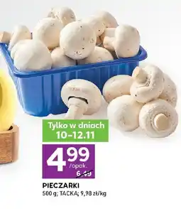 Stokrotka Pieczarki Stokrotka oferta