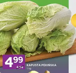 Stokrotka Kapusta pekińska Stokrotka oferta