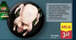 ALDI Gęś tuszka oferta