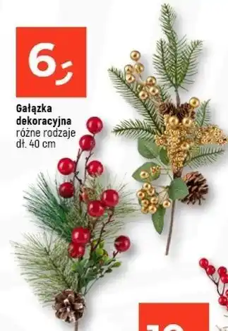 Dealz Gałązka dekoracyjna 40 cm oferta